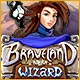 Braveland Wizard Game