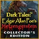 Dark Tales: Edgar Allan Poe's Metzengerstein Collector's Edition Game