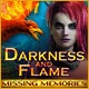 Darkness and Flame: Missing Memories Game