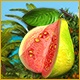 Dream Fruit Farm: Paradise Island Game