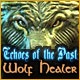 Echoes of the Past: Wolf Healer Game