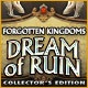 Forgotten Kingdoms: Dream of Ruin Collector's Edition Game
