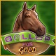 Gallop for Gold Game