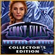 Ghost Files: The Face of Guilt Collector's Edition Game