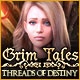 Grim Tales: Threads of Destiny Game