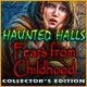 Haunted Halls: Fears from Childhood Collector's Edition Game