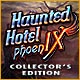 Haunted Hotel: Phoenix Collector's Edition Game