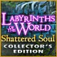 Labyrinths of the World: Shattered Soul Collector's Edition Game