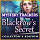 Mystery Trackers: Blackrow's Secret Collector's Edition Game