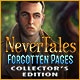 Nevertales: Forgotten Pages Collector's Edition Game