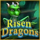 Risen Dragons Game