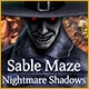 Sable Maze: Nightmare Shadows Game