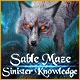 Sable Maze: Sinister Knowledge Game