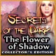 Secrets of the Dark: The Flower of Shadow Collector's Edition Game
