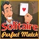 Solitaire Perfect Match Game