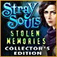 Stray Souls: Stolen Memories Collector's Edition Game