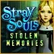 Stray Souls: Stolen Memories Game
