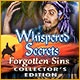 Whispered Secrets: Forgotten Sins Collector's Edition Game