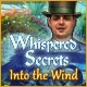 Whispered Secrets: Into the Wind Game