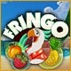 Fringo Game