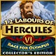 12 Labours of Hercules VI: Race for Olympus Collector's Edition Game
