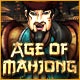 Age of Mahjong Game