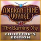 Amaranthine Voyage: The Burning Sky Collector's Edition Game