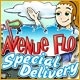 Avenue Flo: Special Delivery Game