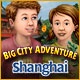 Big City Adventure: Shanghai Game