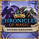 Chronicles of Magic: Divided Kingdoms Game
