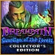 Dreampath: Guardian of the Forest Collector's Edition Game