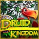 Druid Kingdom Game