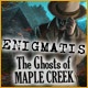 Enigmatis: The Ghosts of Maple Creek Game