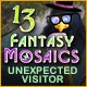 Fantasy Mosaics 13: Unexpected Visitor Game