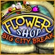 Flower Shop: Big City Break Game