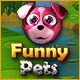Funny Pets Game