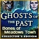 Ghosts of the Past: Bones of Meadows Town Collector's Edition Game