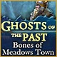 Ghosts of the Past: Bones of Meadows Town Game