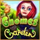 Gnomes Garden Game