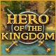 Hero of the Kingdom Game