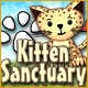 Kitten Sanctuary Game