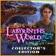 Labyrinths of the World: A Dangerous Game Collector's Edition Game