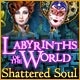 Labyrinths of the World: Shattered Soul Game