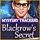 Mystery Trackers: Blackrow's Secret Game