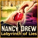 Nancy Drew: Labyrinth of Lies Game