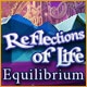 Reflections of Life: Equilibrium Game