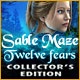 Sable Maze: Twelve Fears Collector's Edition Game
