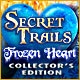 Secret Trails: Frozen Heart Collector's Edition Game