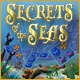 Secrets of the Seas Game