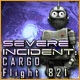 Severe Incident: Cargo Flight 821 Game